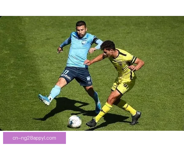 澳洲低级联赛恶意踩踝激怒球迷 澳洲低级联赛恶意踩踝激怒球迷