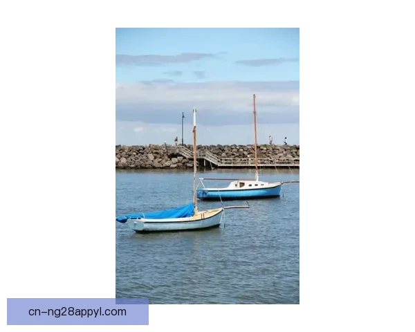 墨士廉与帆船好手们周六将进行水上游行